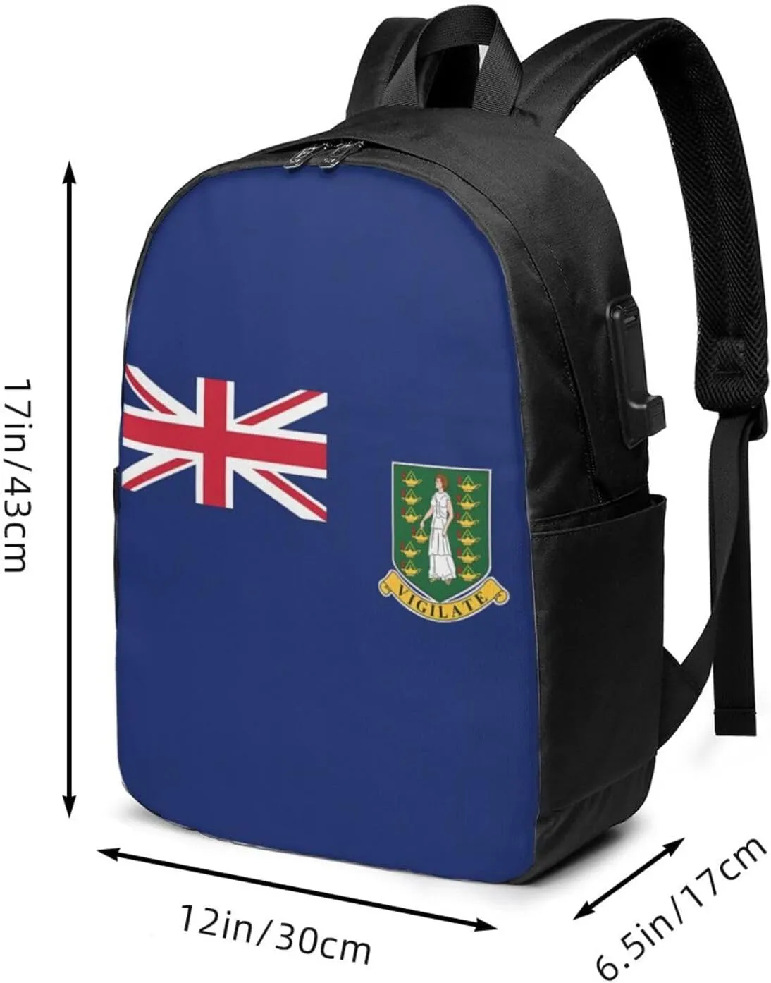 British Virgin Islands Flag Laptop Backpacks Travel Backpack Casual Business Daypack Sport Rucksack Computer Bag Fits up to 17 Inch Notebook with USB Port