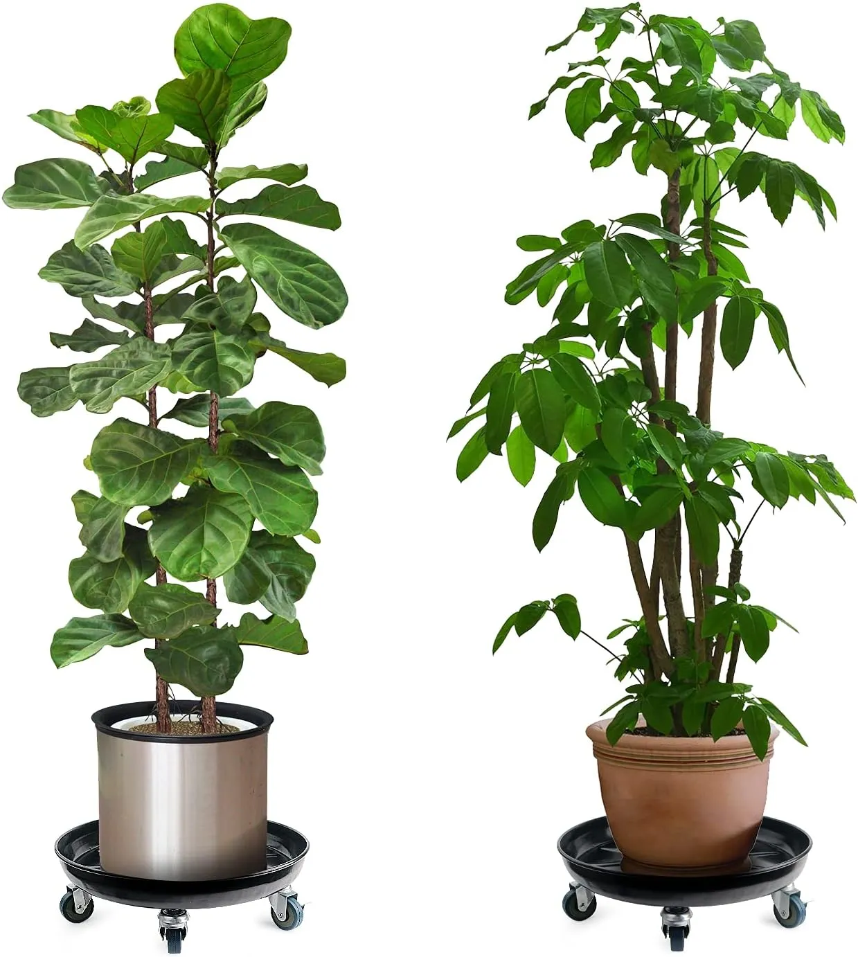 Choclaif Plant Caddy with Wheels, 2 Pack Black Heavy Duty Plant Stand with Universal Wheels, Round Pot Trolley for Indoor Outdoor (20)