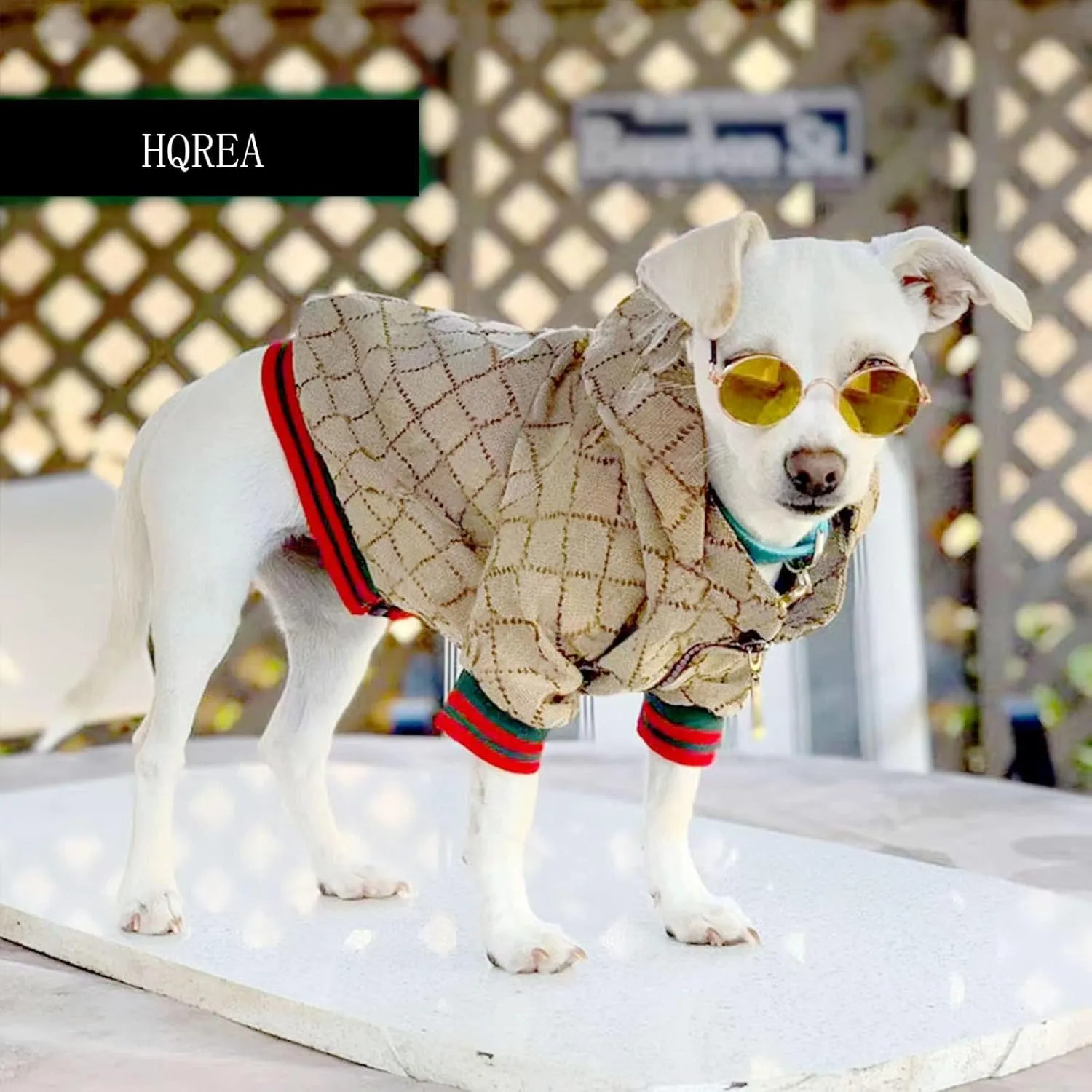 Dog Hoodie Luxury Winter Small Dog Jacket Clothes Classic Designer Warm Pet Coats Zipper Design Easy On/Off French Bulldog Teddy Pug Puppy Clothes(XXL)