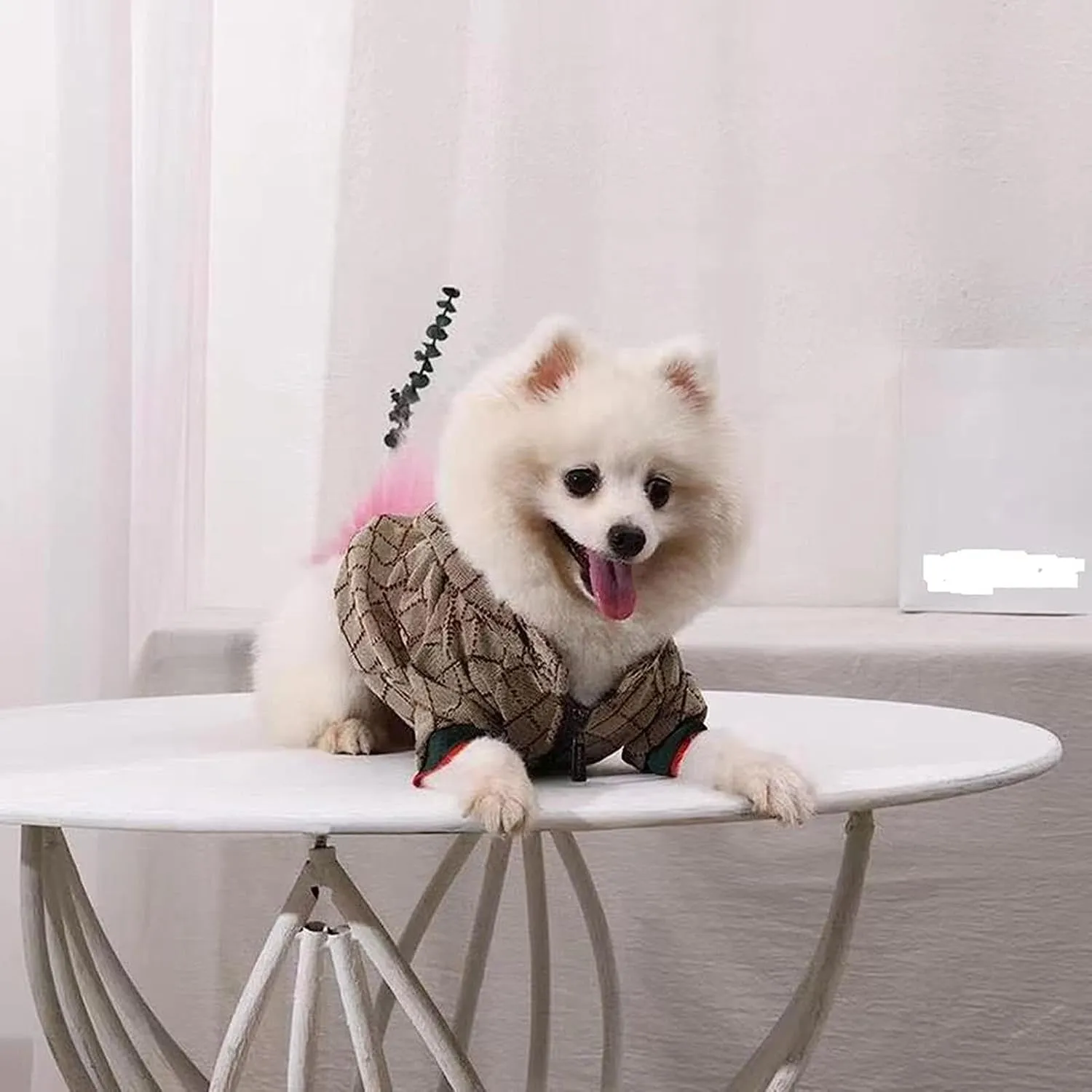 Dog Hoodie Luxury Winter Small Dog Jacket Clothes Classic Designer Warm Pet Coats Zipper Design Easy On/Off French Bulldog Teddy Pug Puppy Clothes(XXL)