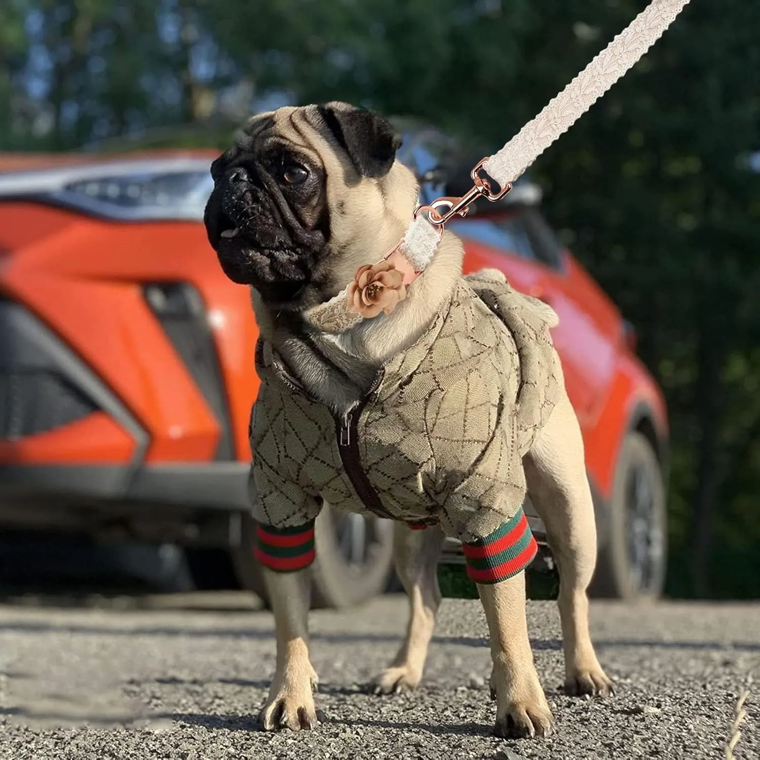 Dog Hoodie Luxury Winter Small Dog Jacket Clothes Classic Designer Warm Pet Coats Zipper Design Easy On/Off French Bulldog Teddy Pug Puppy Clothes(XXL)