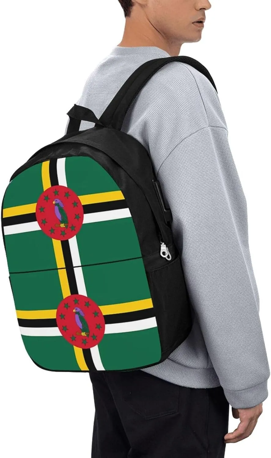 Dominica Flag Travel Backpack 17-Inch Laptop Backpacks Business Rucksack Casual Sport Daypack with USB Charging Port Carry-on Bag for Camping Biking