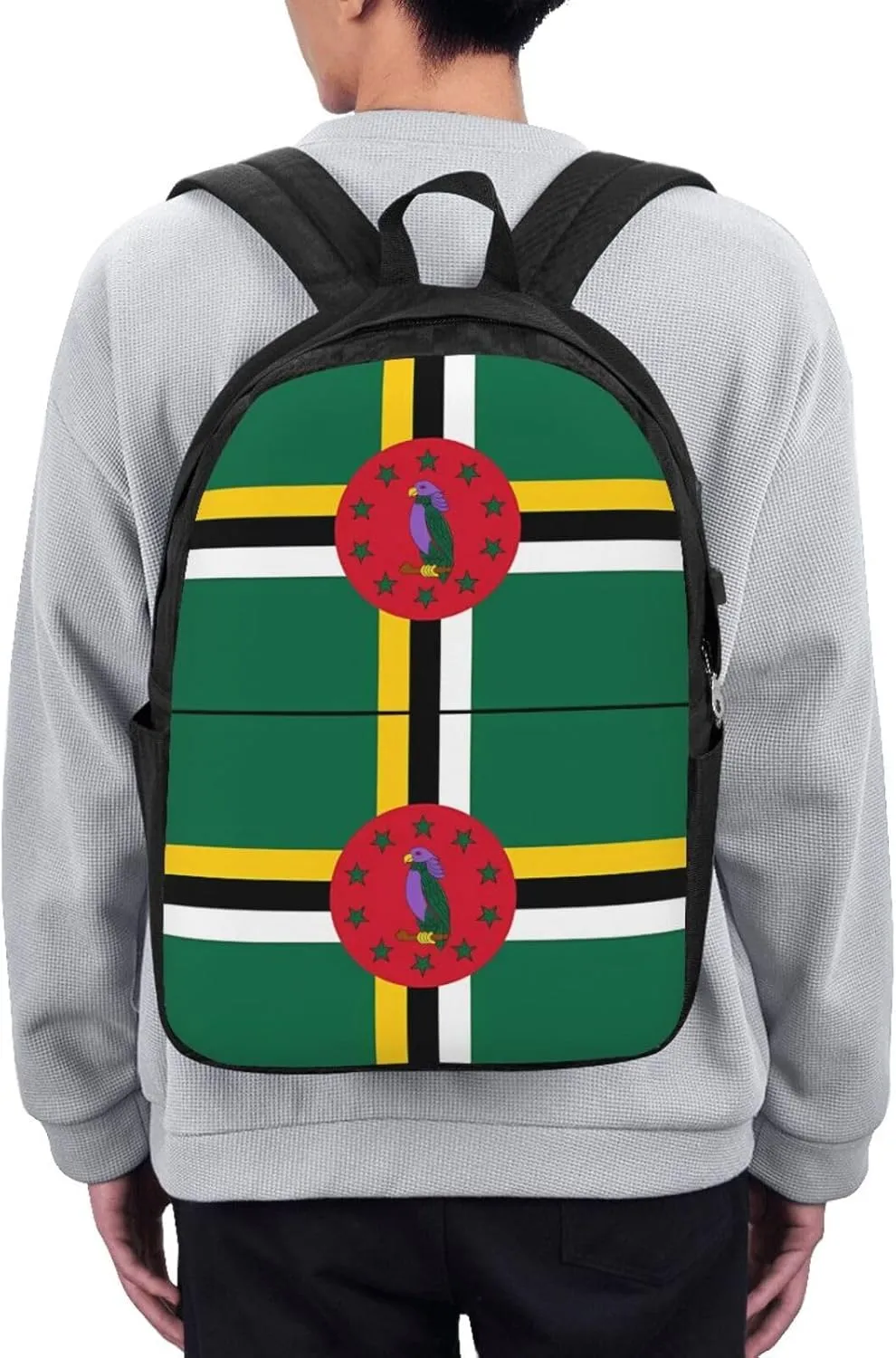 Dominica Flag Travel Backpack 17-Inch Laptop Backpacks Business Rucksack Casual Sport Daypack with USB Charging Port Carry-on Bag for Camping Biking