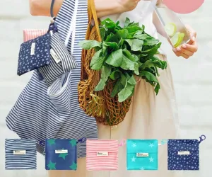 Foldable Reusable Shopping Bag