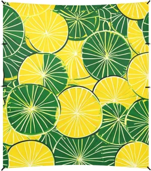 Lemon Slices Yellow Green Foldable Beach Canopy UPF50  Protection Waterproof Sun Shade with Sandbags, Sand Shovel, Poles for Family Travel