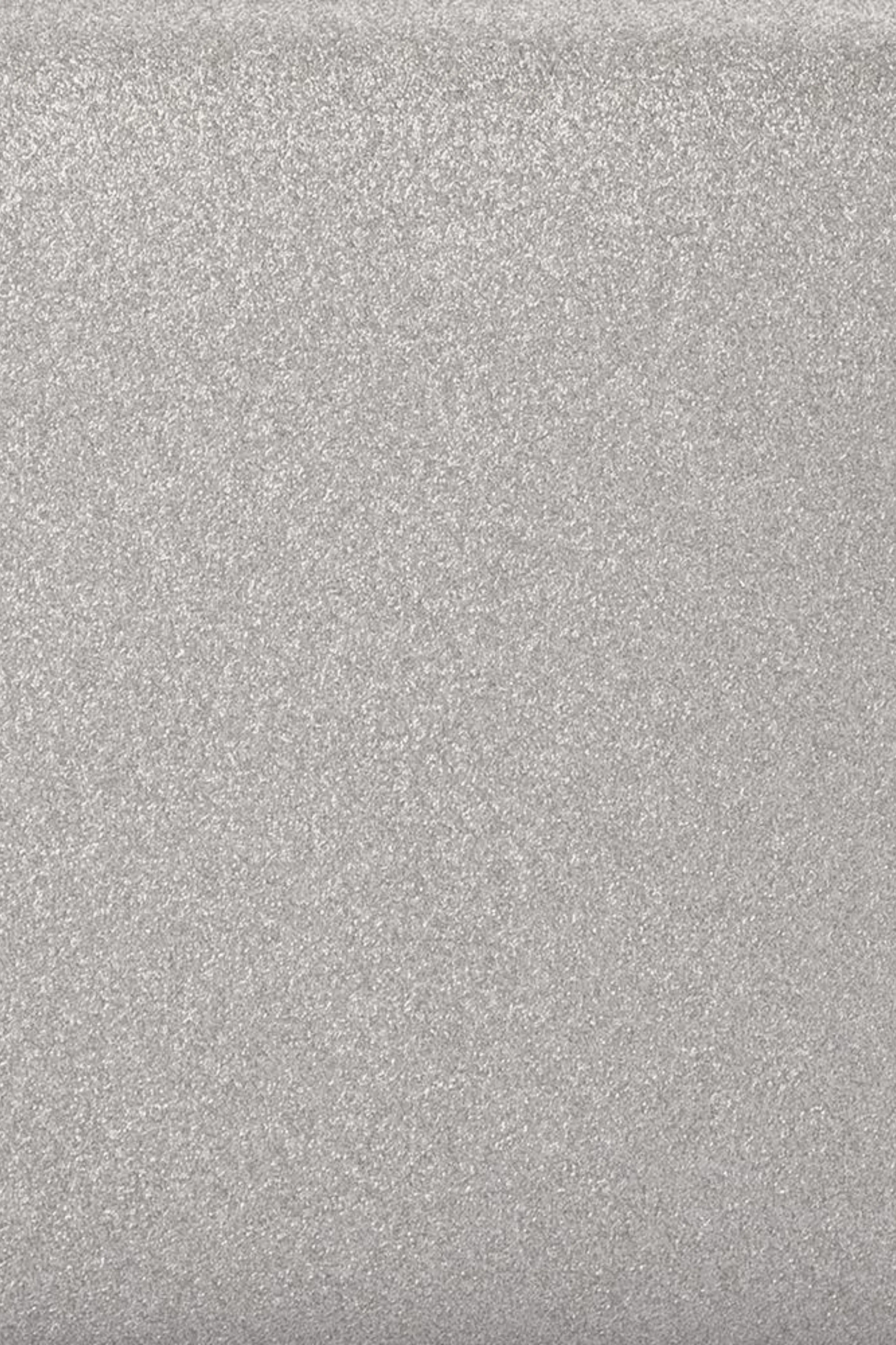 Precious Metallic Slimline Clutch - Silver