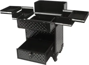 Rolling Makeup Train Case Travel Suitcase Makeup Trolley Makeup Storage Organizer Manicure Storage Beauty Organizer Large Capacity Studio Cosmetologist Stylist (Black)