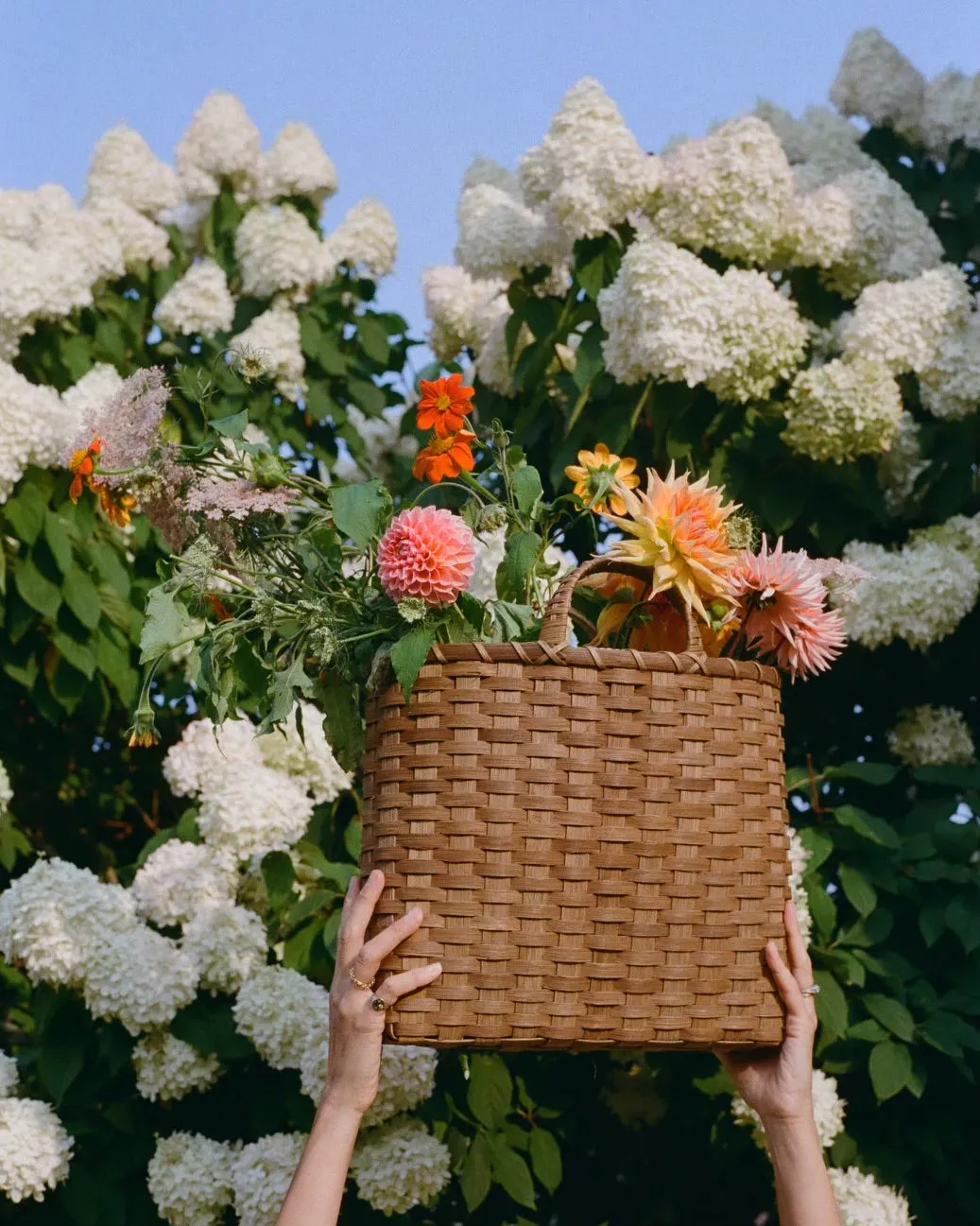 Shopping Basket