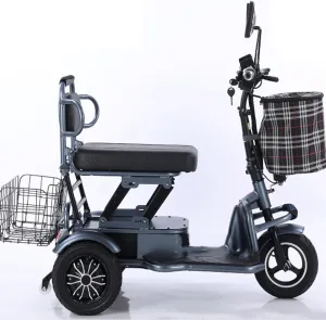 Small Three-Wheeled Folding Scooter, Double Shopping Cart, Battery Car for The Elderly, Three-Wheeled Mini Electric Car,Grey