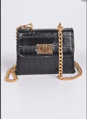 ST BART  MINI PURSE